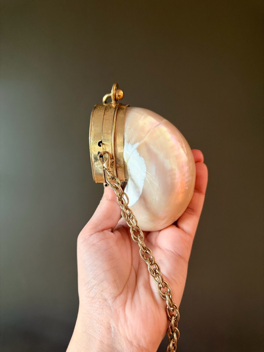 Shell Pendant Crossbody Bag in Iridescent Pearl and Gold